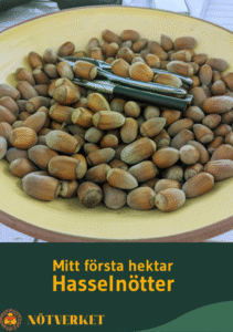 Broschyr "Mitt första hektar Hasselnötter"
