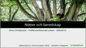 framsida